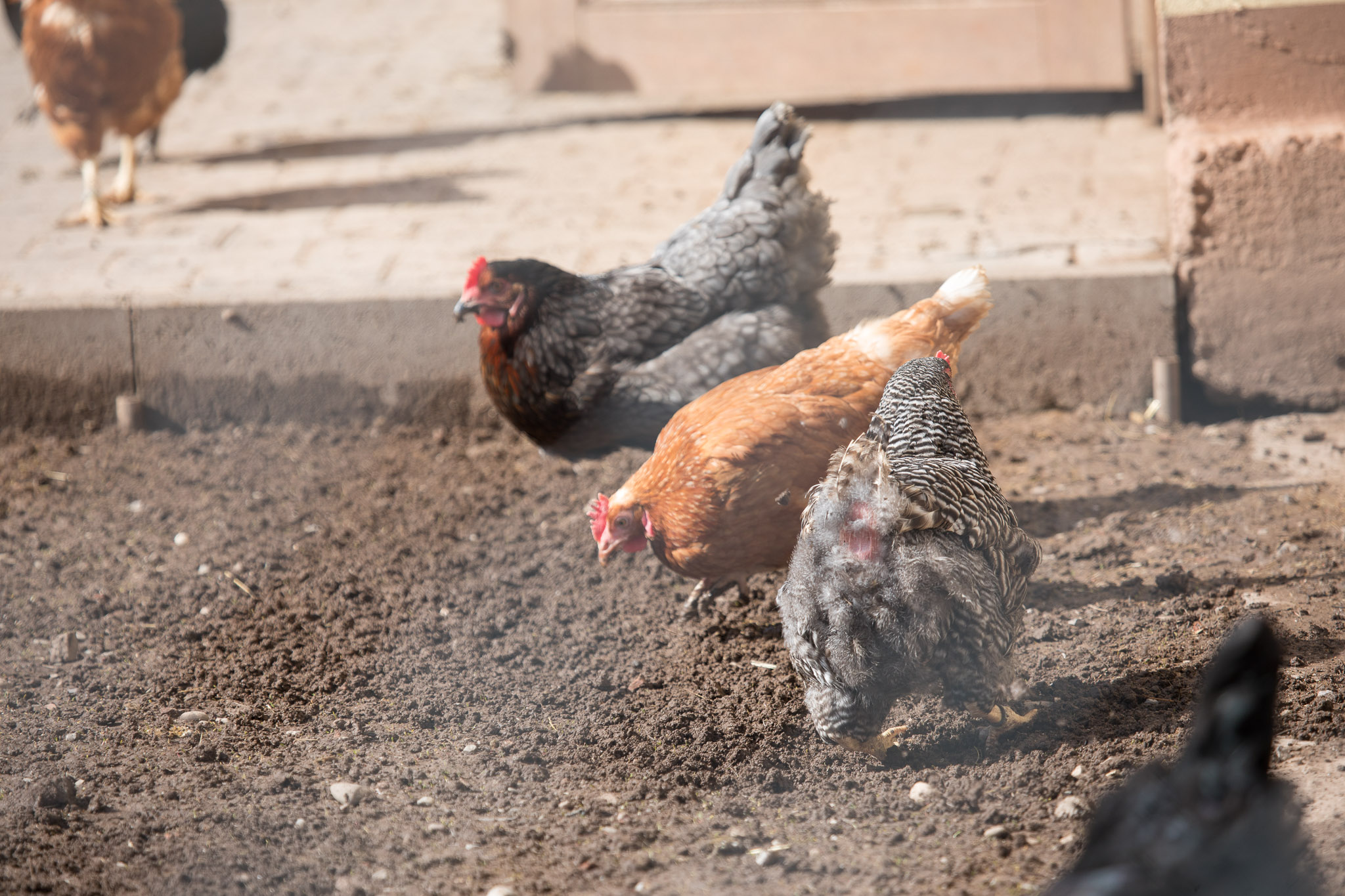 20220409154804 RD4 6525